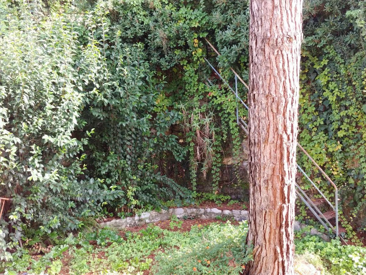 Casa Tina *