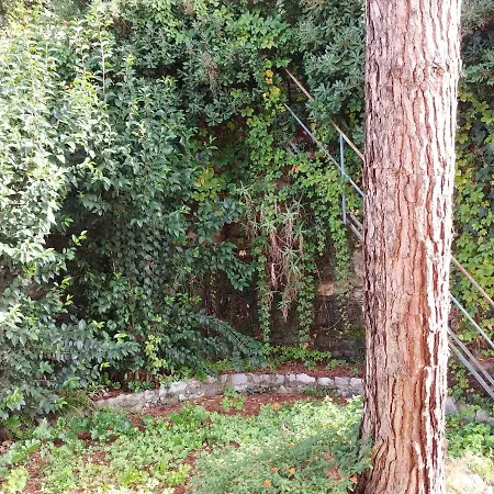 Casa Tina Apartment Santa Margherita Ligure Exterior photo